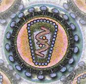 : C:\Documents and Settings\\ \\    \275px-Human_Immunodeficency_Virus_-_stylized_rendering.jpg