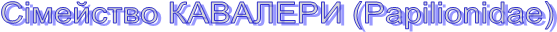 ѳ  (Paplondae)