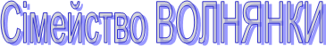 ѳ 