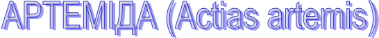 ̲ (Actas artems)&#13;&#13;