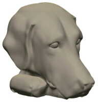 dog_digit