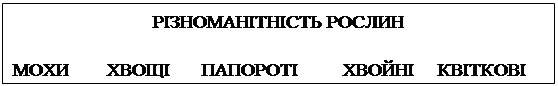 : вͲͲ &amp;#13;&amp;#10;&amp;#13;&amp;#10;	ٲ	Ҳ	Ͳ	²²&amp;#13;&amp;#10;